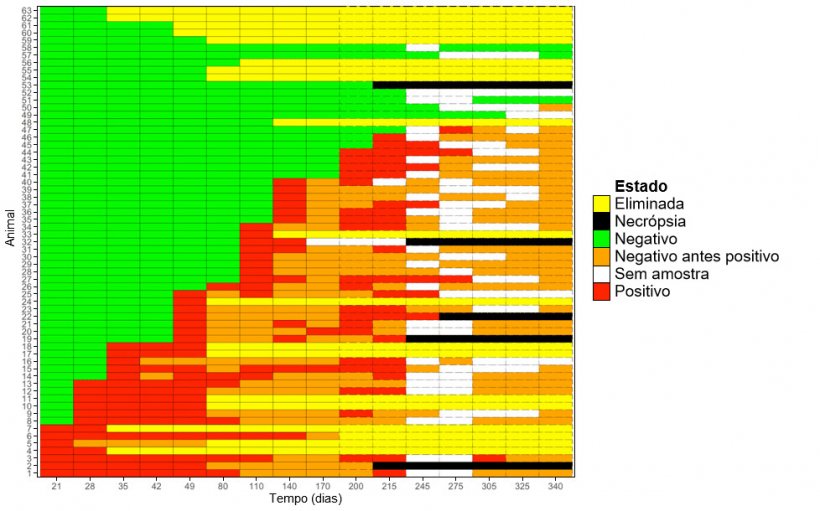 Figura&nbsp;1: Gr&aacute;fico que mostra a detec&ccedil;&atilde;o longitudinal de M. hyopneumoniae em prim&iacute;paras.
